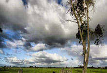 星空体育：奥尔良羽毛球赛：李梓嘉安洗莹闯八强 马国头号混双出局.