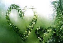 离谱！国乒劲敌退出世界杯，大勒布伦因“无法控制自己情绪”受伤.