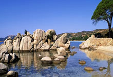 [德甲]第21轮：柏林联合VS沃尔夫斯堡.